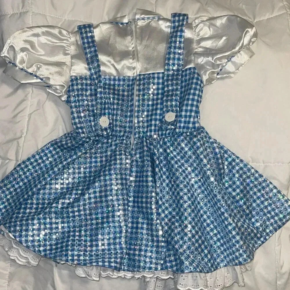 Dorothy Costume from Wizard of Oz - Size Small
